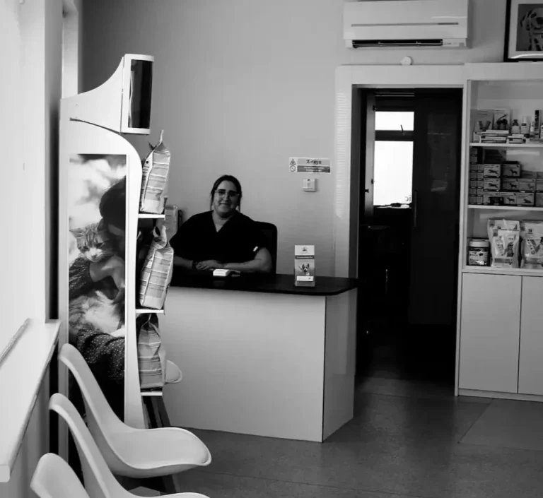 Riverside Veterinary Clinic in Bournemouth - Our Reception Riverside Veterinary Clinic in Bournemouth - Our Reception